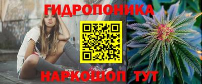 индика Ипатово
