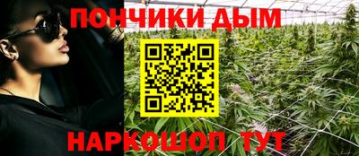 индика Ипатово